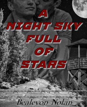 A Night Sky Full Of Stars by Bealevon Nolan - Cover