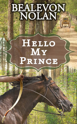 Hello My Prince by Bealevon Nolan - Cover
