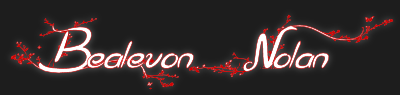 Bealevon Nolan - Author - Logo